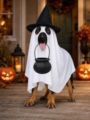 Halloween Funny Dog's Ghost Costume（Clothes + Hat + Candy Jar）